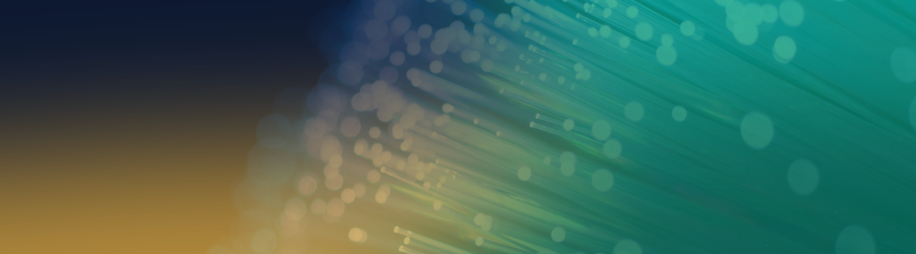 crowe itr economics summit